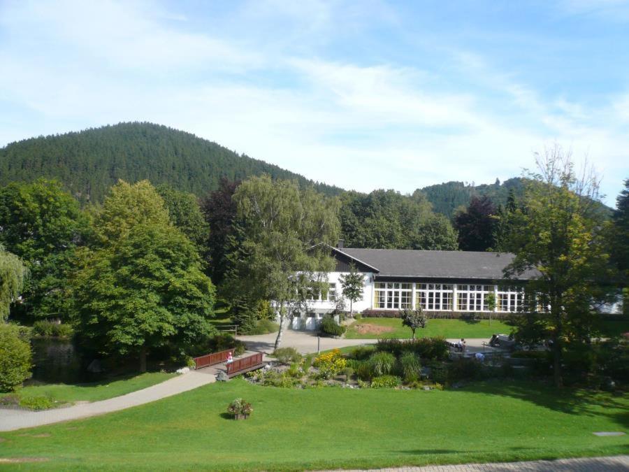 F Am Kurpark Mit Meinecardplus Apartment Willingen (Upland)